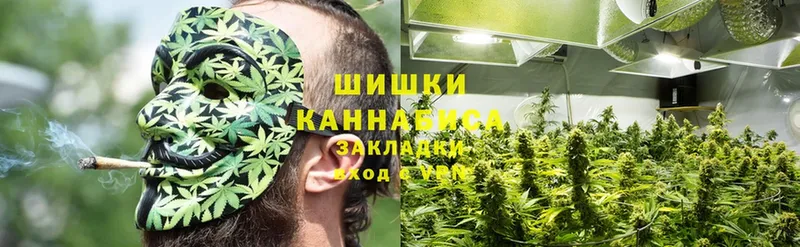 мориарти официальный сайт  Зима  Шишки марихуана Ganja  наркотики 